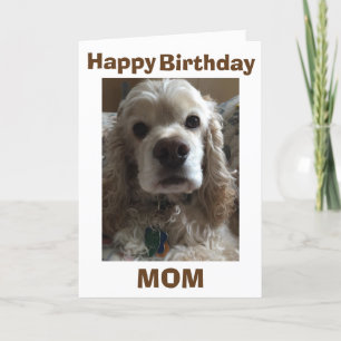 CARTE HEUREUX ANNIVERSAIRE MOM DIT CE COCKER CUTE SPANIE