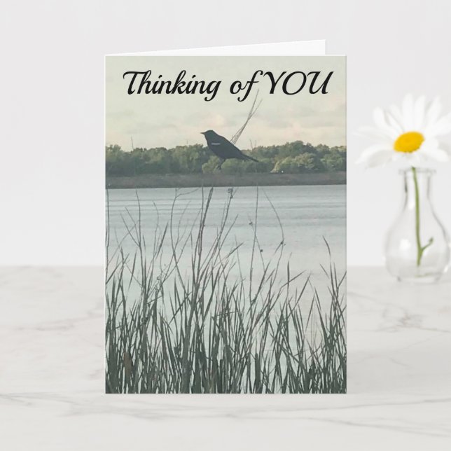 CARTE ***HEUREUX ANNIVERSAIRE*** SOUHAITE QU'IL SOIT "EN (Petite plante)