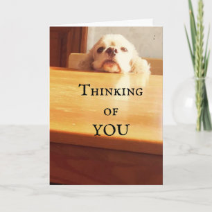 CARTE HEUREUX ***AOÛT ANNIVERSAIRE*** À VOUS!