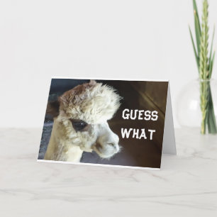 CARTE HEUREUX *MERCI* DITES LAMA