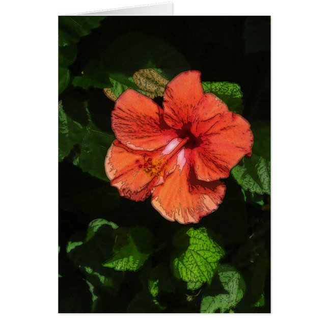 Carte Hibiscus 424 (Devant)