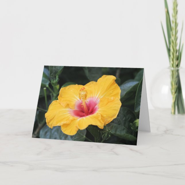 Carte hibiscus jaune (Devant)
