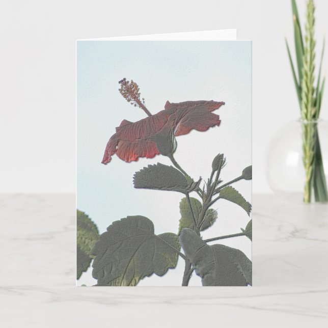 Carte Hibiscus obscur incorporé (Devant)