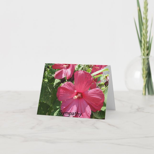 Carte Hibiscus rose chaud, Sympathie (Devant)