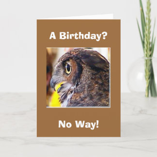 Carte hibou 2, Anniversaire ?, Pas question !