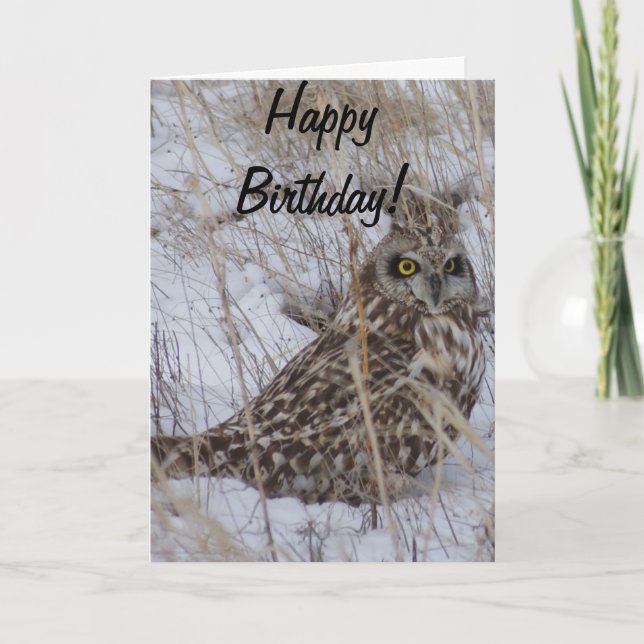 Carte Hibou des marais B11 (Devant)