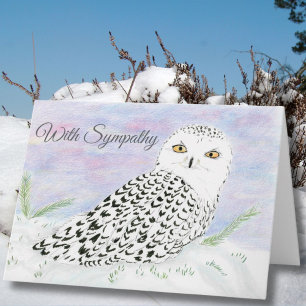 Carte Hibou des neiges de condoléances au crayon de coul