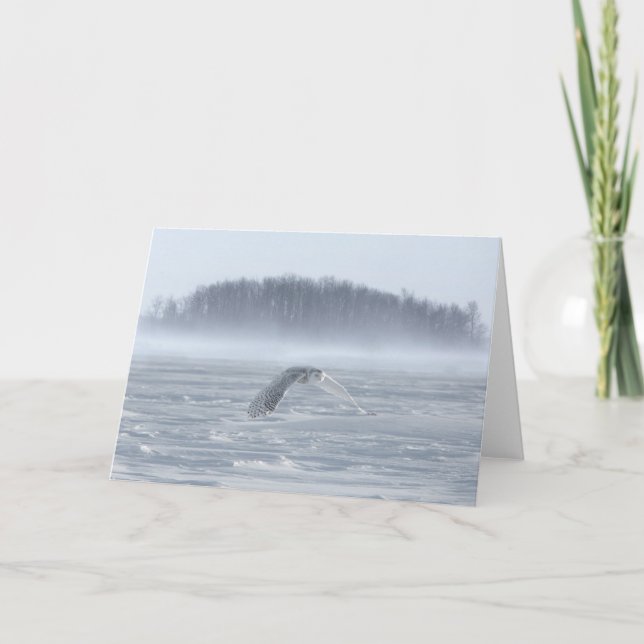 Carte Hibou des neiges en vol en hiver (Devant)