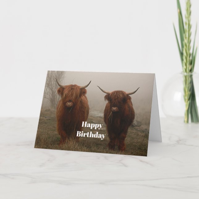 Carte Highland Cattle Fog Photo Anniversaire (Devant)