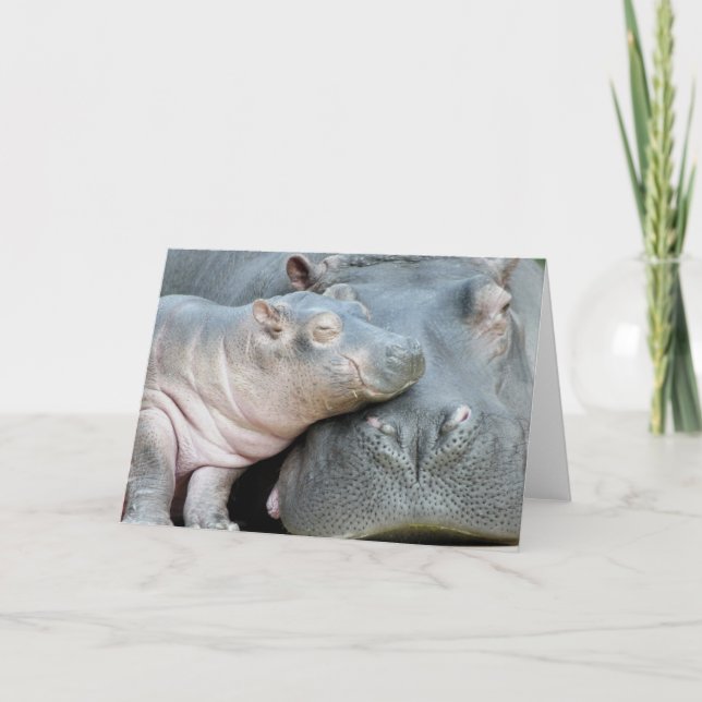Carte Hippo (Devant)