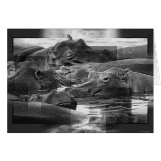 Carte Hippopotamus (Devant horizontal)