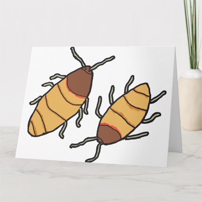 Carte Hisser Cockroach (Devant)