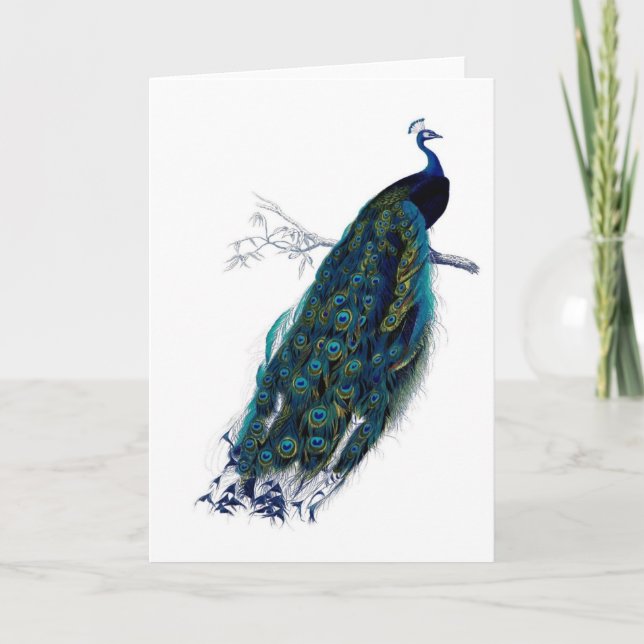 Carte Histoire naturelle antique Imprimer Peacock (Devant)