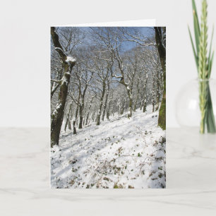 Carte Hiver de la forêt de Macclesfield