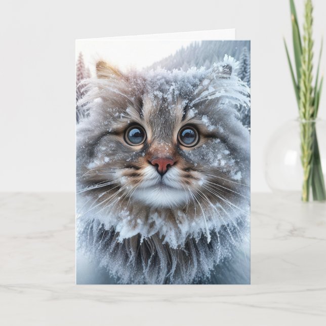 Carte Hiver Maine Coon Chat Anniversaire Humour (Devant)