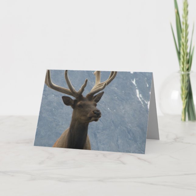 Carte Hmmm, il semble que tu aies un anniversaire à veni (Devant)