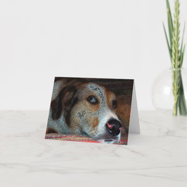 Carte HOBIE Cowdog (Devant)