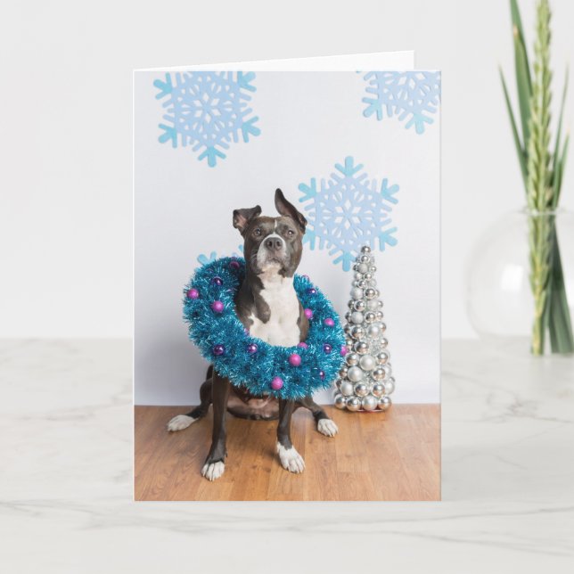 Carte Holiday card (Devant)