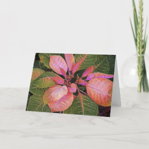 Carte Holiday Poinsettia en Rosie Pink