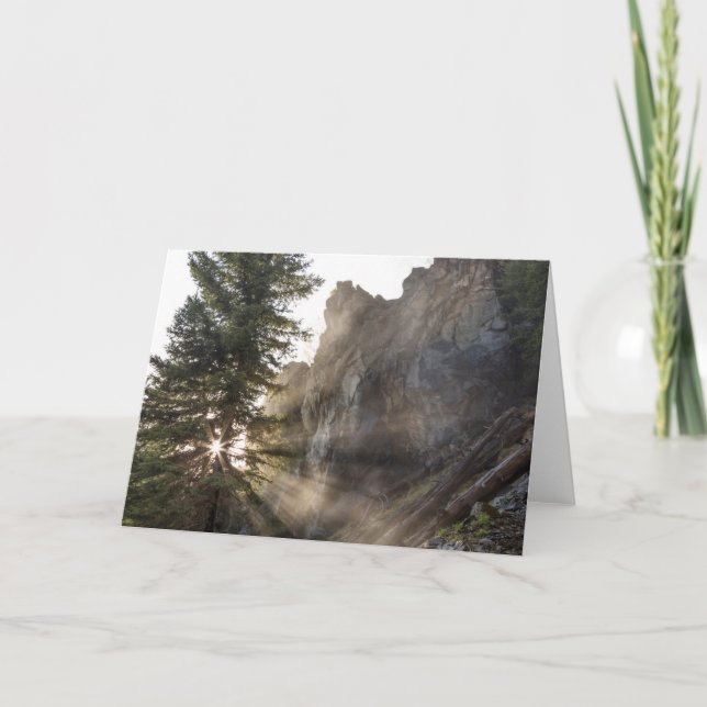 Carte Holland Falls | Forêt nationale de Lolo, Montana (Devant)