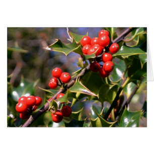Carte Holly Berries