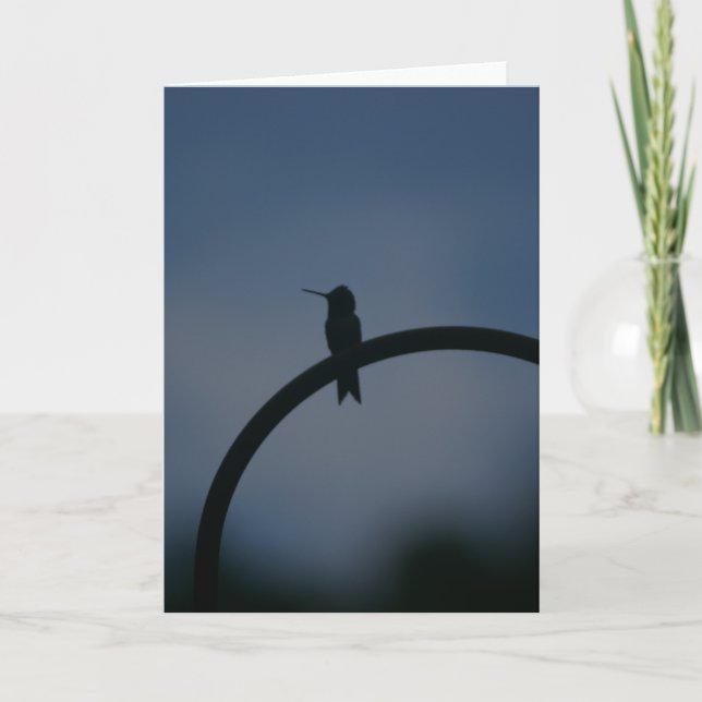 Carte Homme Ruby Throat Hummingbird (Devant)