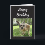 Carte Hoppy Birthday<br><div class="desc">Fun Kangaroo Hoppy Birthday Australian Animal Humor blank inside card</div>