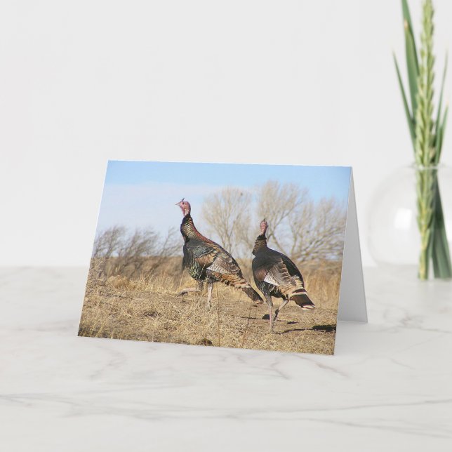 Carte Horizon de la Turquie (Devant)