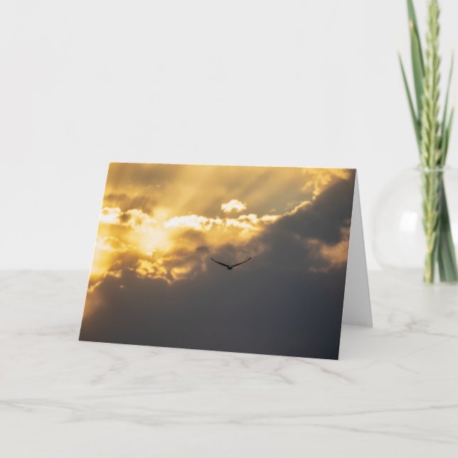 Carte Hors De L'Aigle Soleil Bald (Devant)