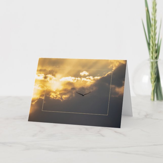 Carte Hors De L'Aigle Soleil Bald Avec Bordure (Devant)