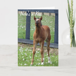 Carte Horse Birthday Kisses Card
