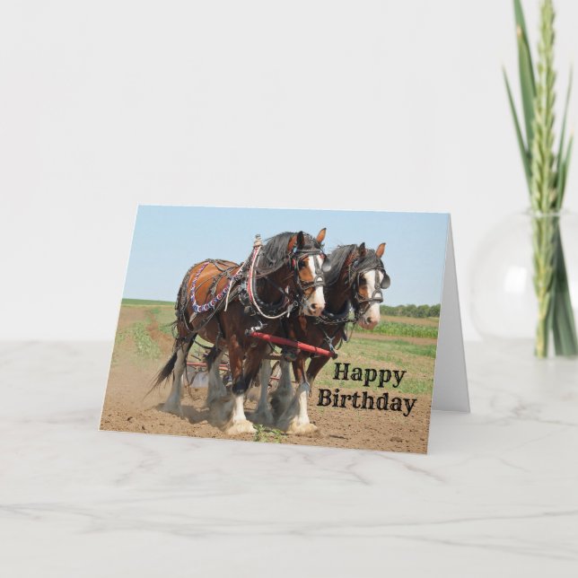Carte Horse Clydesdale Ferme Photo Anniversaire (Devant)