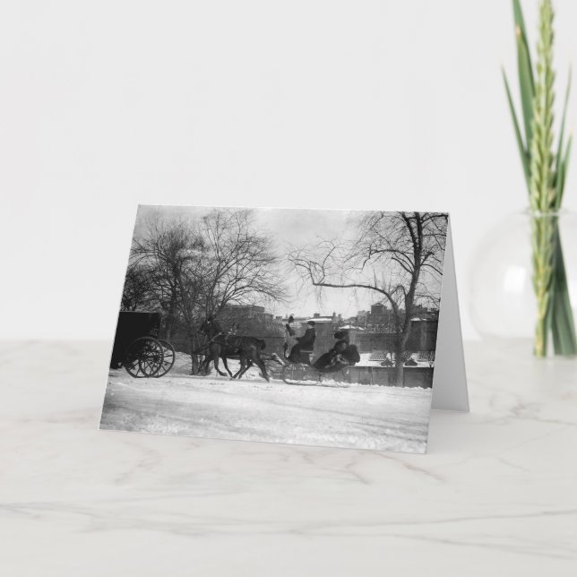 Carte Horse Drawn Sleigh NYC Greeting Card (Devant)