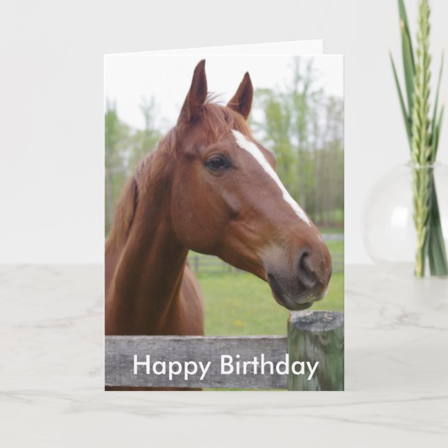 Carte Horse Equestrian Hunter Birthday (Devant)