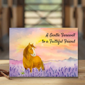 Carte Horse in Lavender Field During Sunset Sympathy