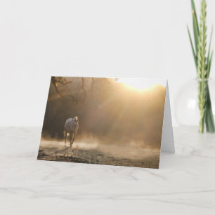 Carte Horse in Light Equine Sympathy Card
