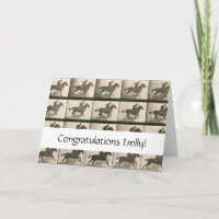 Horse Motion Photographie Vintage