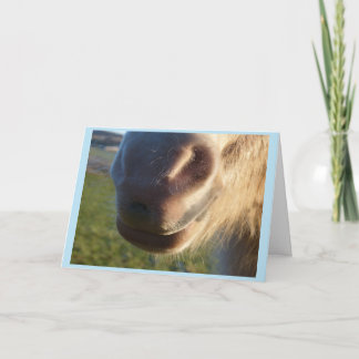 Carte Horse smile Card