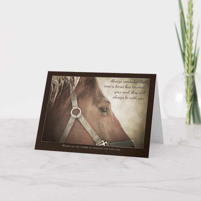 Carte Horse Sympathy With Nice Words (Devant)