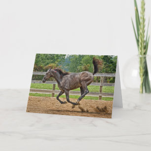 Carte Horse Tennessee Walker Filly Card