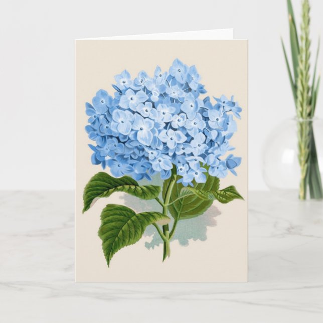 Carte Hortensia bleu vintage (Devant)