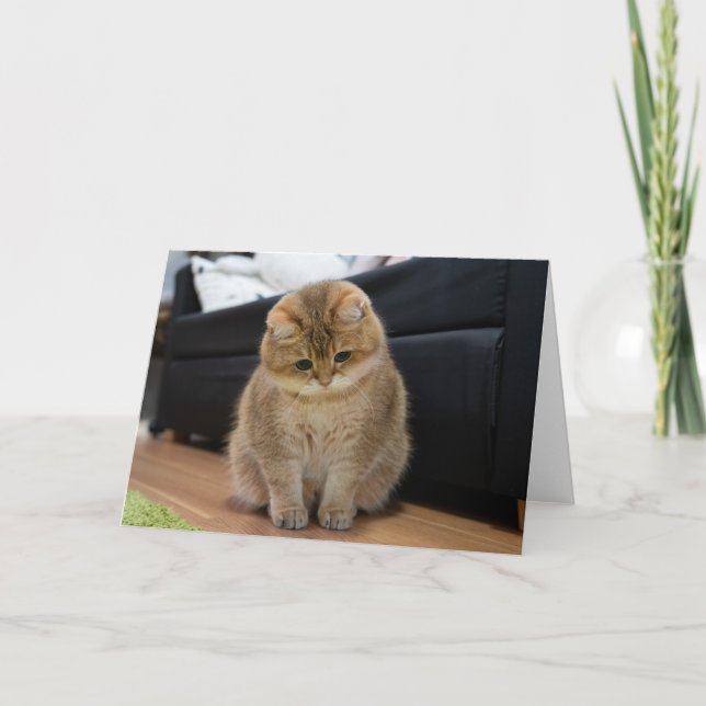 Carte Hosico bébé mignon (Devant)