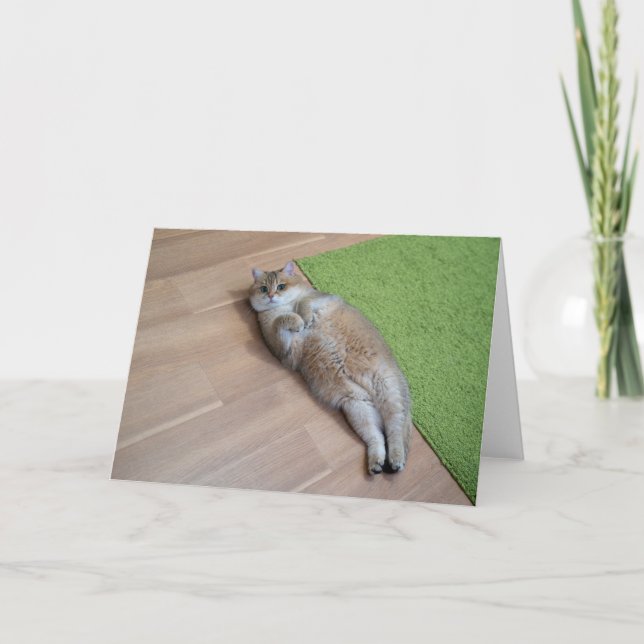 Carte Hosico chat mignon (Devant)