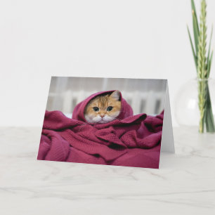 Carte Hosico emballé