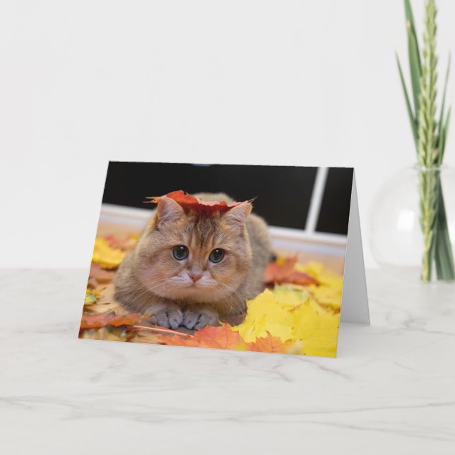 Carte Hosico et feuilles jaunes (Devant)