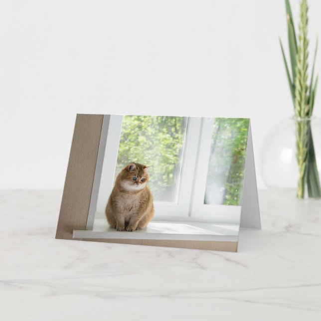 Carte Hosico par la fenêtre (Devant)