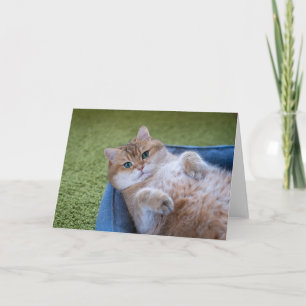 Carte Hosico vous regarde