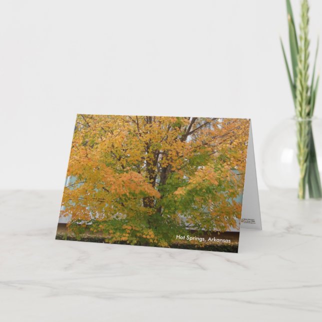 Carte Hot Springs, AR Autumn Leaves Greeting Card (Devant)