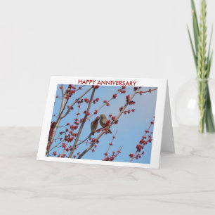 Carte House Finches, Amour Parmi Les Beaux 2, HEUREUX AN