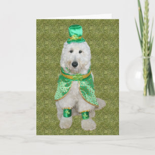 Carte Huey McGoldendoodle St. Patrick's Day card
